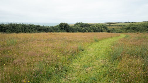 Visit Southwood in the spring